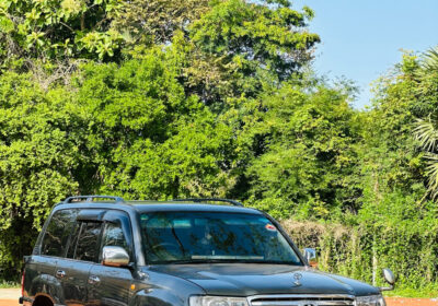 2EDC44D4-AA0C-41CB-8DA2-03DB09820842